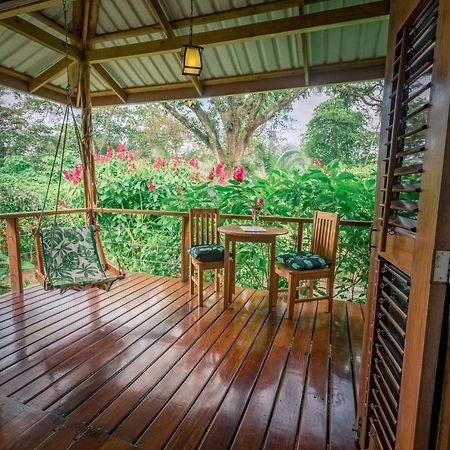 Hotel The Hummingbird Bocas del Toro Esterno foto