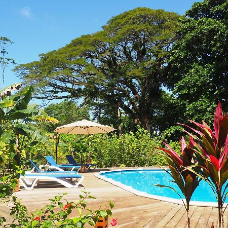 Hotel The Hummingbird Bocas del Toro Esterno foto