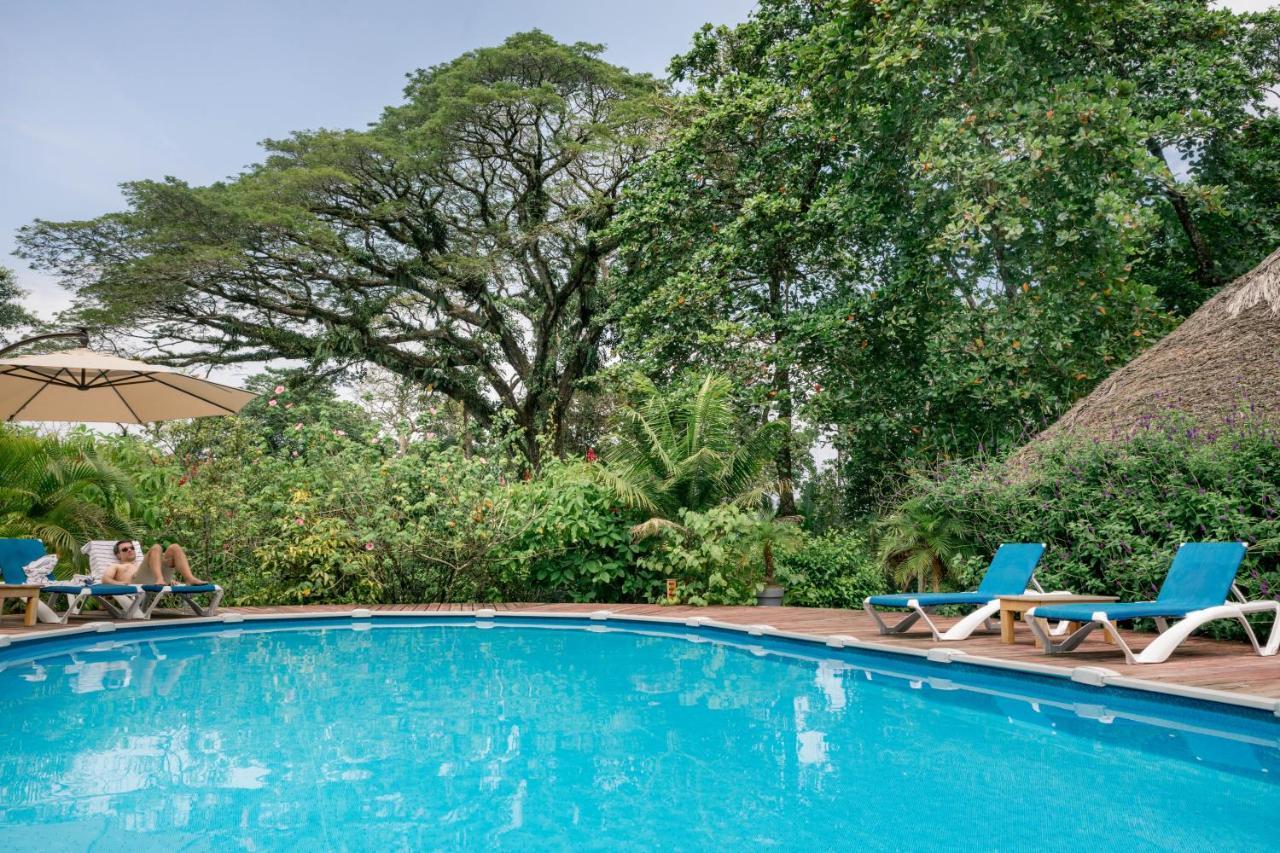 Hotel The Hummingbird Bocas del Toro Esterno foto